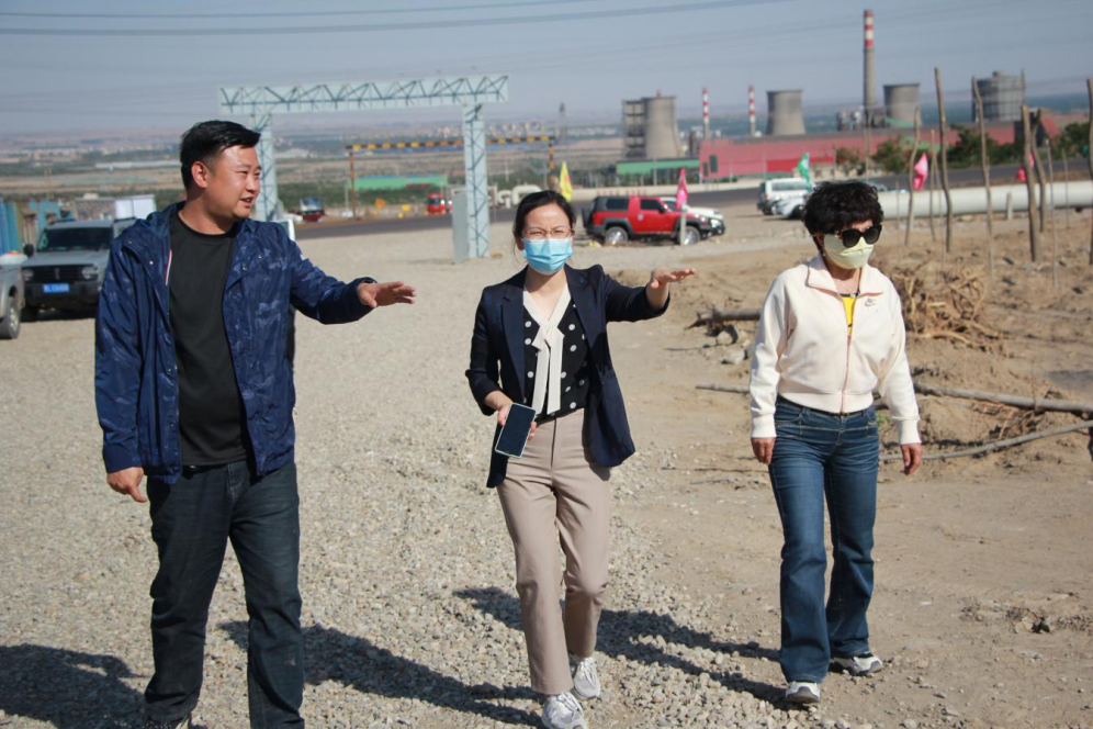 石嘴山市農(nóng)業(yè)農(nóng)村局副局長徐永霞、農(nóng)經(jīng)中心主任王曉斌一行蒞臨基地檢查指導(dǎo)